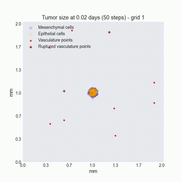 _images/video_tumor_dynamics.gif