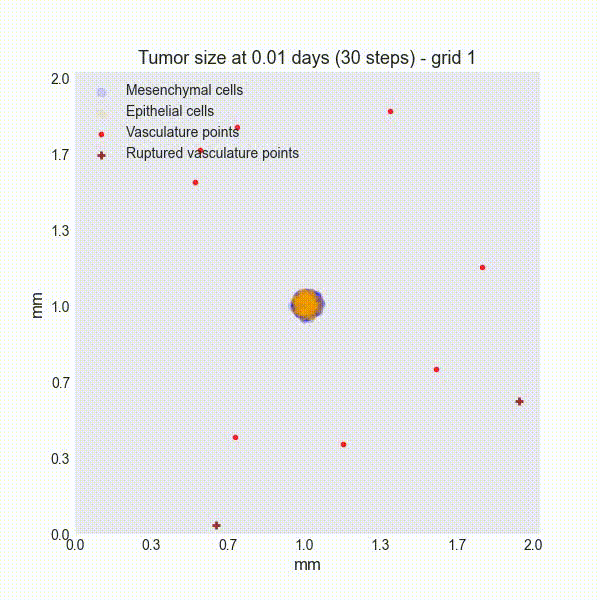 _images/video_tumor_dynamics_cli.gif